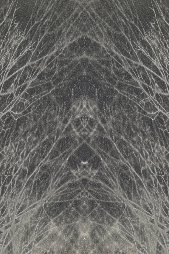mirroredbranches.jpg