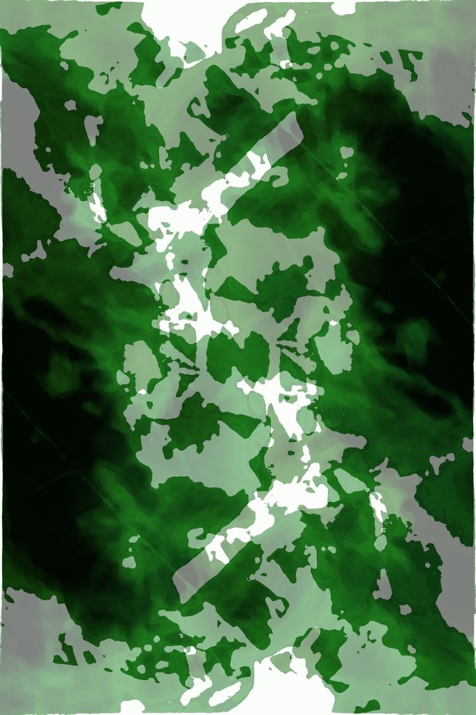 xray.jpg