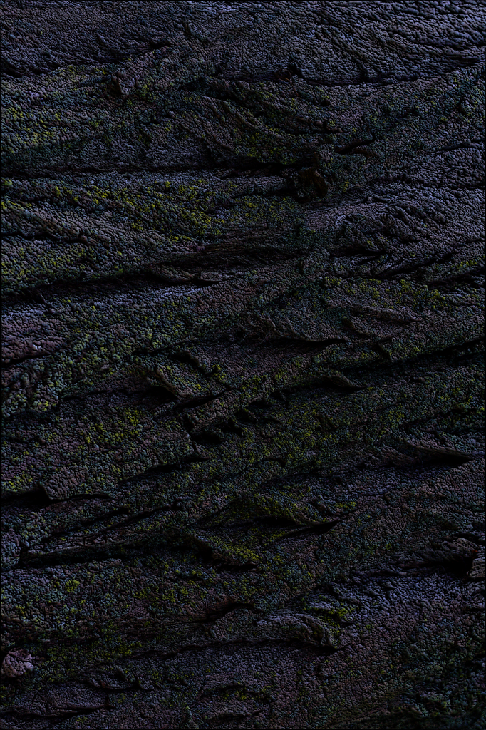 BarkTexture.png